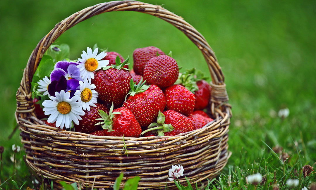 泰安点呀点水果电商APP开发案例